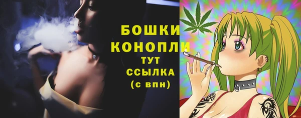 сатива Бородино