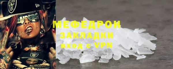 сатива Бородино