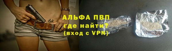 сатива Бородино