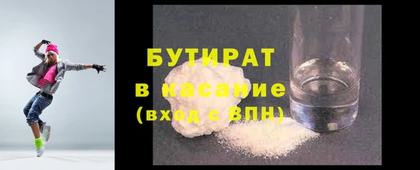 сатива Бородино