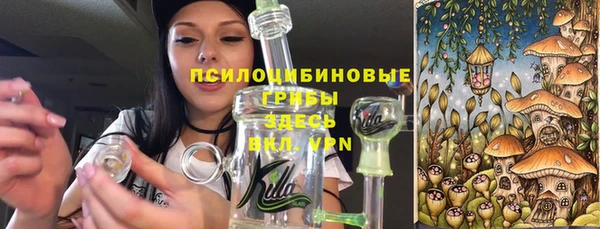 сатива Бородино