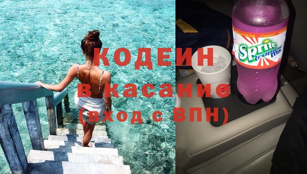 сатива Бородино