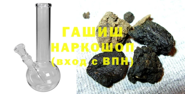 сатива Бородино