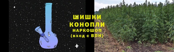 тгк Верея
