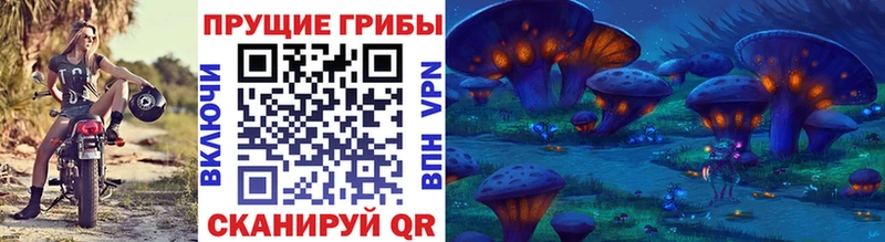 Псилоцибиновые грибы Psilocybe  Верхняя Тура 